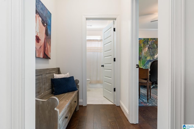 interior space featuring dark wood-type flooring and ornamental molding