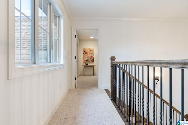 hall with a healthy amount of sunlight, crown molding, and light carpet