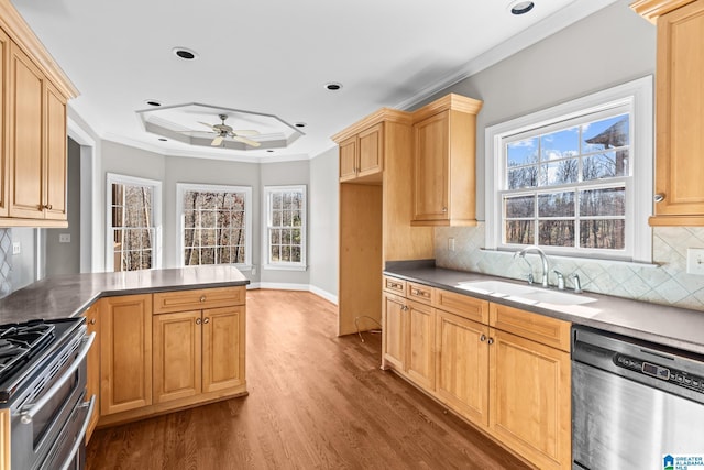 kitchen with ceiling fan, sink, stainless steel appliances, decorative backsplash, and light wood-type flooring