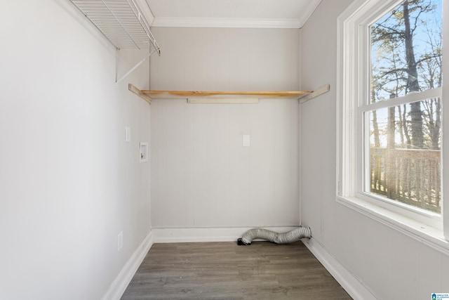 washroom featuring plenty of natural light, ornamental molding, dark wood-type flooring, and hookup for a washing machine