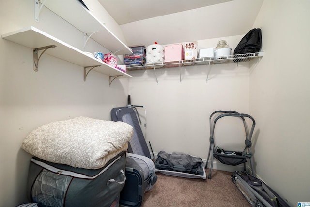 spacious closet with carpet flooring