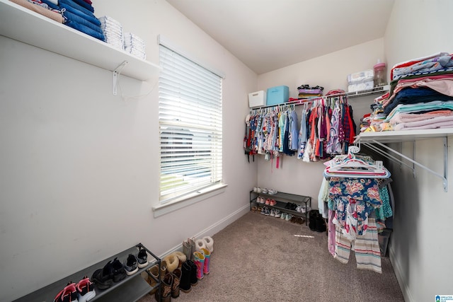 spacious closet with carpet flooring