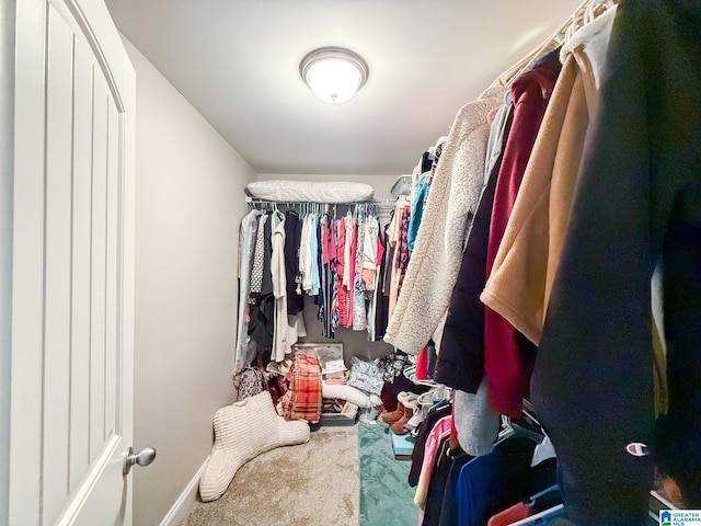 spacious closet featuring carpet