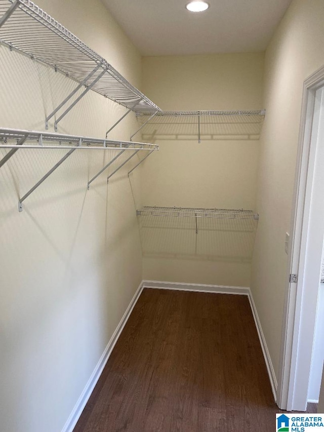 spacious closet with dark hardwood / wood-style flooring