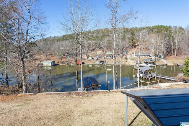 dock area featuring a water view