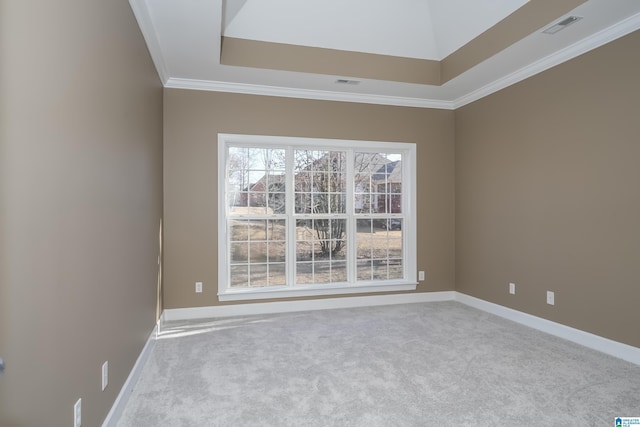 carpeted spare room with a raised ceiling and crown molding