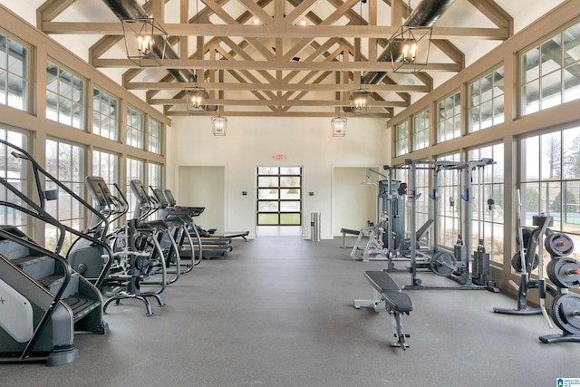 exercise room with a towering ceiling