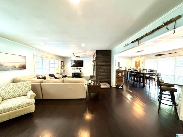 living room with ceiling fan and dark wood-type flooring