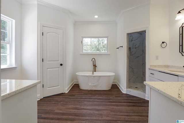 bathroom featuring crown molding, plenty of natural light, vanity, and hardwood / wood-style floors