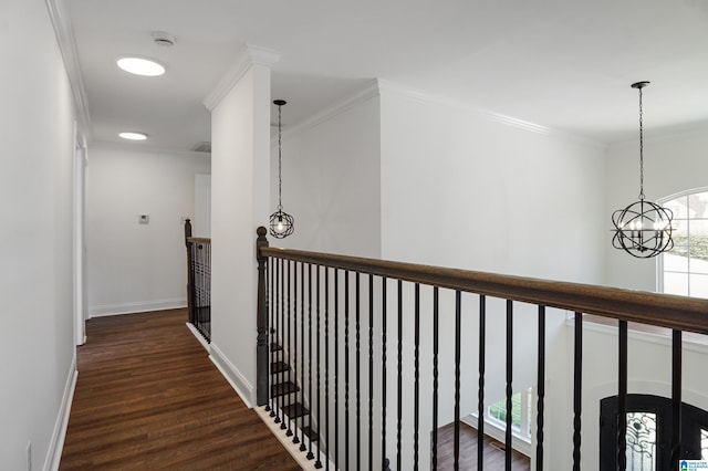 corridor with crown molding, dark hardwood / wood-style floors, and a notable chandelier