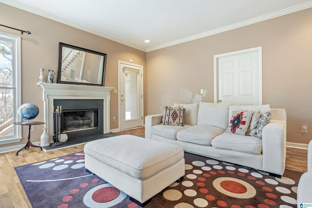 living room featuring wood-type flooring and ornamental molding