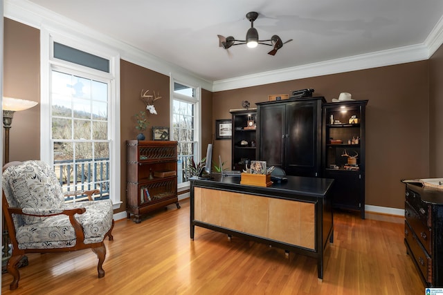 office space featuring light wood-type flooring, ceiling fan, and ornamental molding