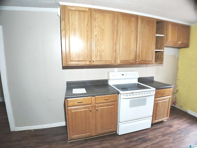 55 Jeter Rd, Talladega, AL 35160 - kitchen featuring electric range, dark hardwood / wood-style floors, and crown molding