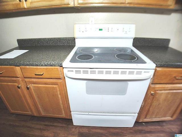 55 Jeter Rd, Talladega, AL 35160 - kitchen featuring white electric stove and dark wood-type flooring