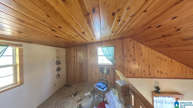 bonus room featuring wood ceiling, lofted ceiling, and wood walls