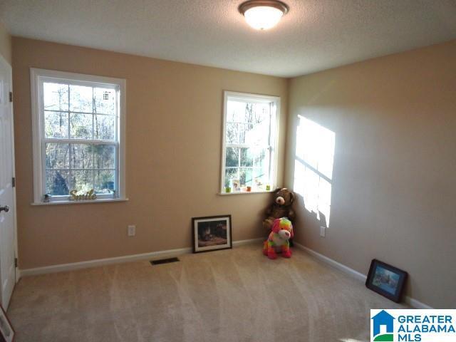 interior space with carpet and a textured ceiling