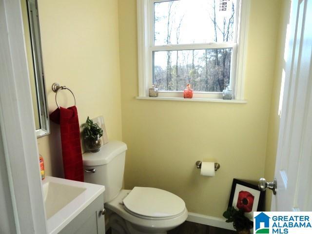 bathroom with vanity and toilet