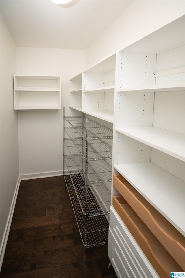 walk in closet with dark hardwood / wood-style floors