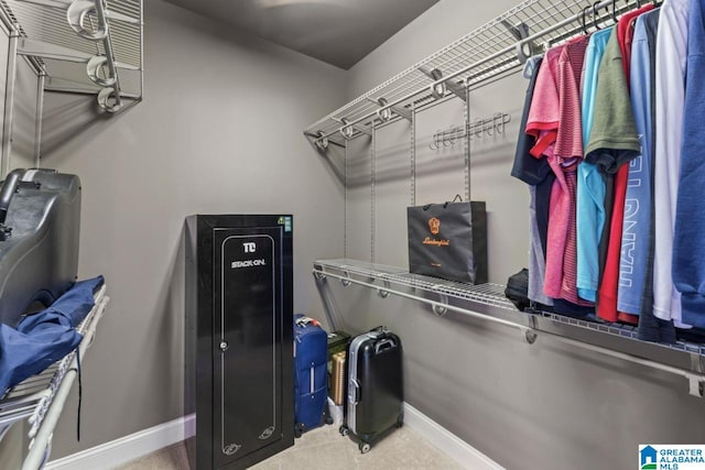 view of spacious closet