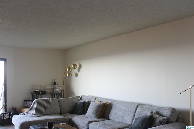 living room featuring a textured ceiling