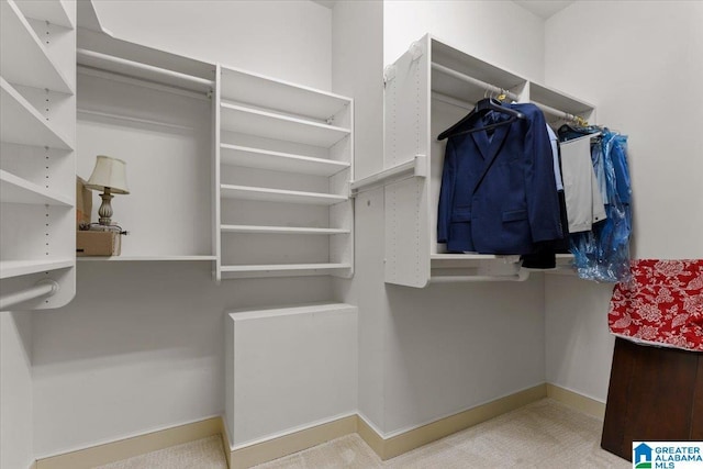 view of walk in closet