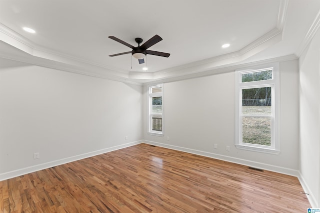 spare room with a tray ceiling, light hardwood / wood-style flooring, and plenty of natural light