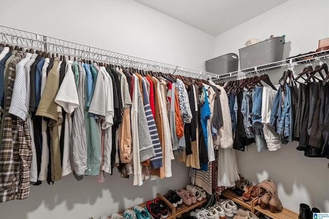 view of walk in closet