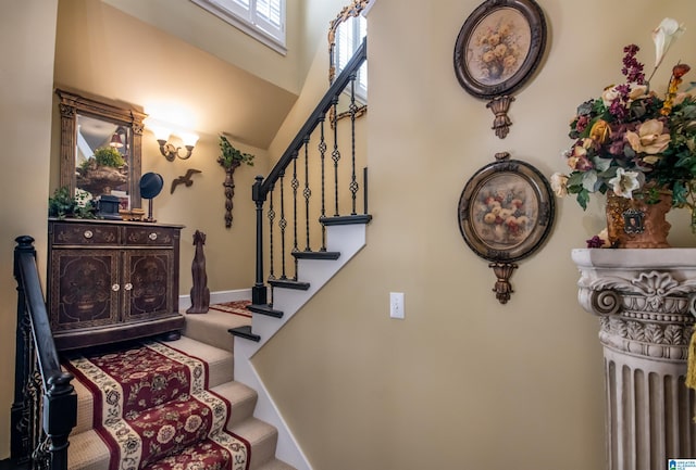 stairway featuring carpet floors