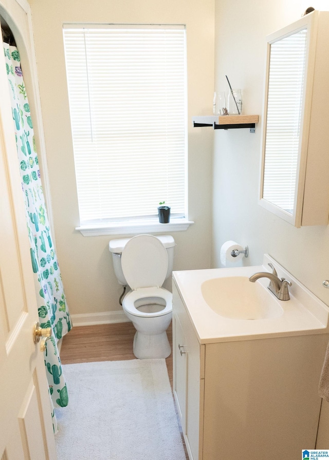 bathroom with vanity, hardwood / wood-style flooring, and toilet