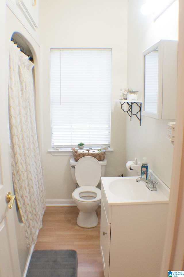 bathroom with hardwood / wood-style flooring, vanity, and toilet