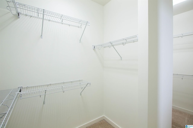 walk in closet featuring carpet floors