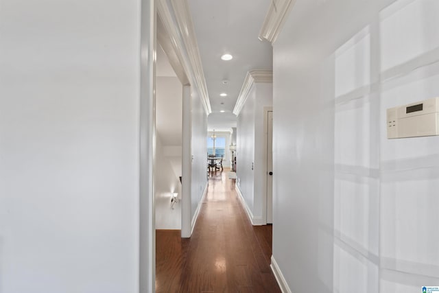 corridor featuring ornamental molding and dark hardwood / wood-style flooring