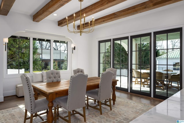 dining space featuring wood-type flooring, an inviting chandelier, and plenty of natural light