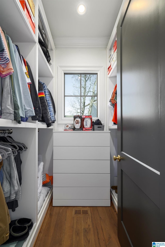 spacious closet featuring dark hardwood / wood-style floors