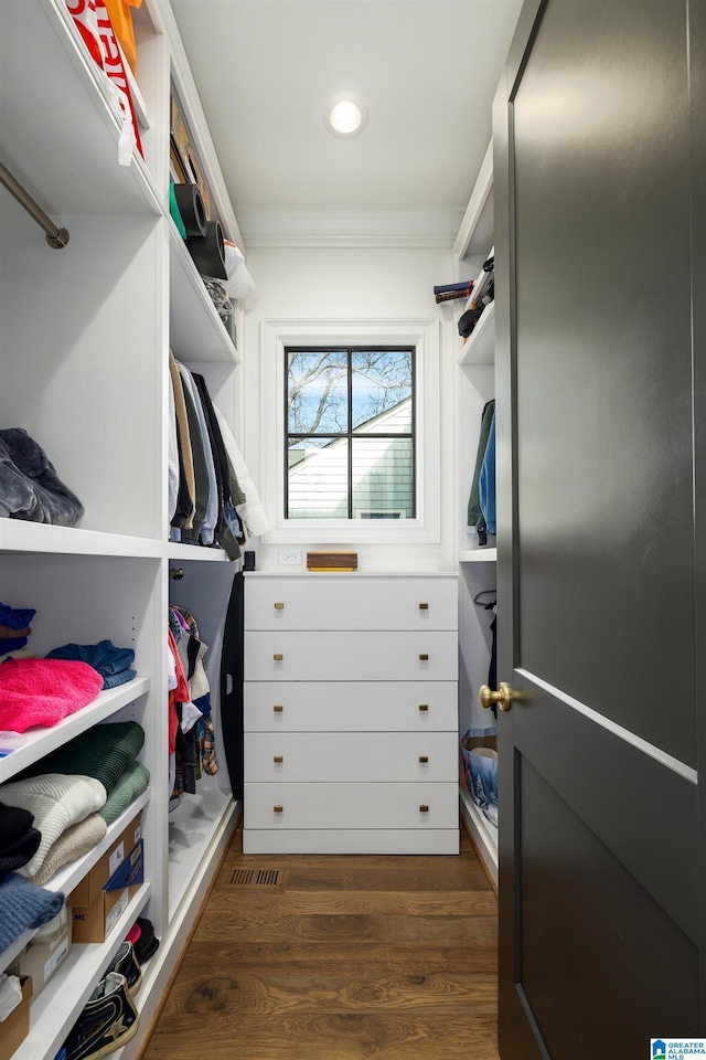 spacious closet featuring dark hardwood / wood-style flooring