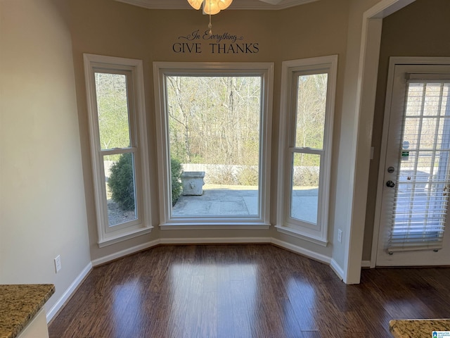 entryway with a wealth of natural light and dark wood-type flooring