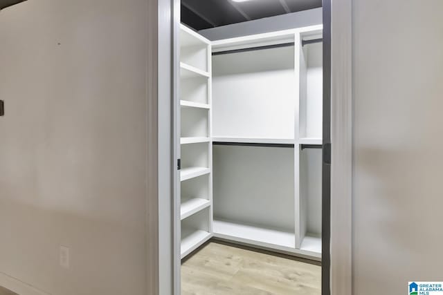 walk in closet with light hardwood / wood-style flooring