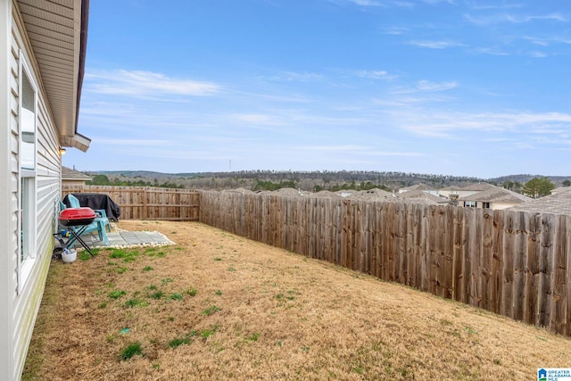 view of yard featuring a patio area