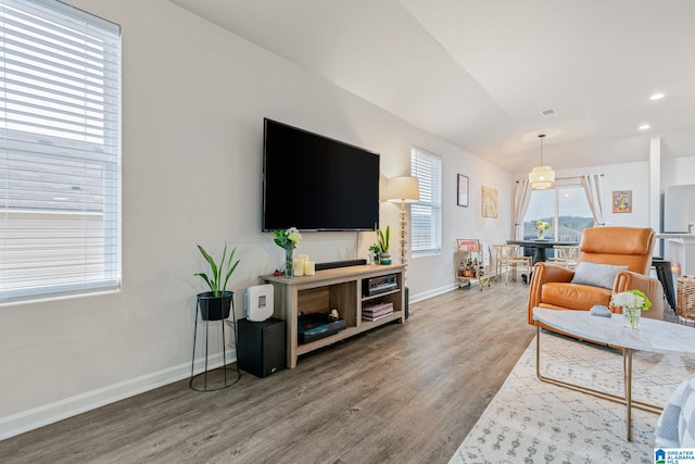 living room with wood-type flooring and vaulted ceiling