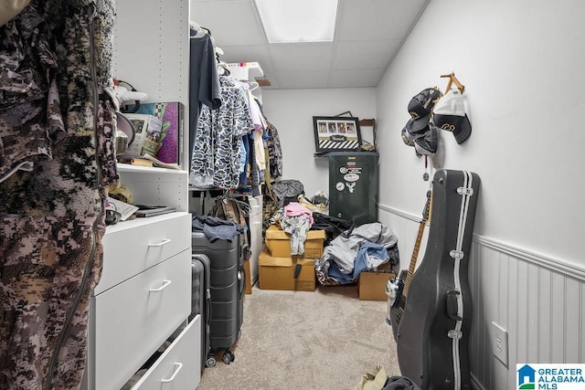 walk in closet with a paneled ceiling and carpet floors