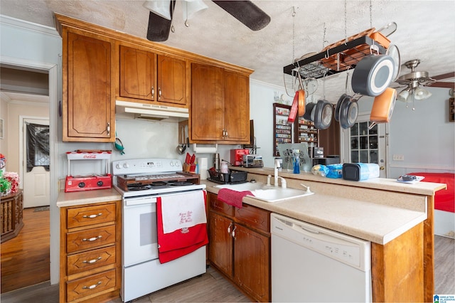 kitchen featuring white appliances, sink, ceiling fan, ornamental molding, and light hardwood / wood-style floors