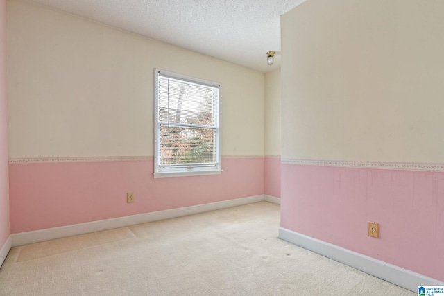 empty room with a textured ceiling and light carpet