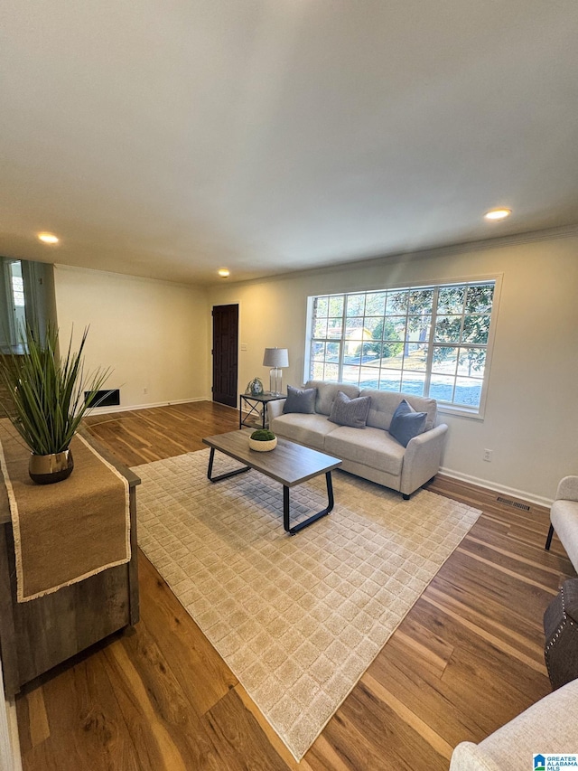 living room with wood-type flooring