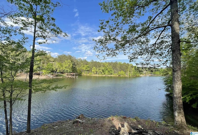 LOT1TRACTA Waters Way Lot 1Tract A, Wedowee AL, 36278 land for sale