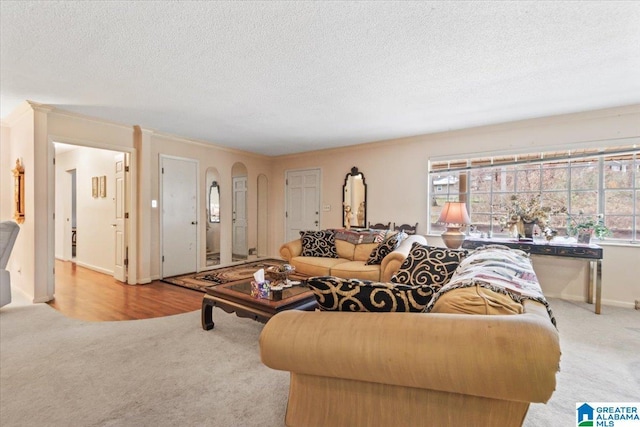 carpeted living room with a textured ceiling and a wealth of natural light