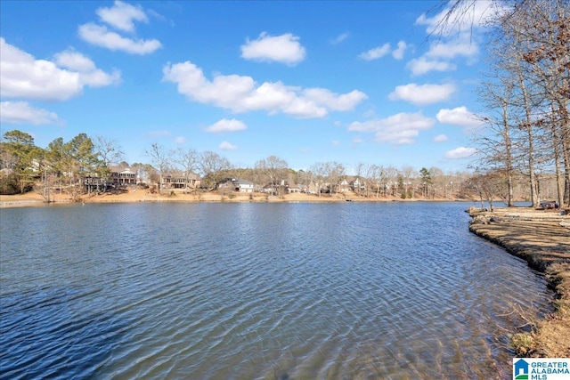 property view of water