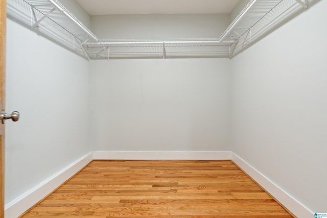 spacious closet with wood-type flooring