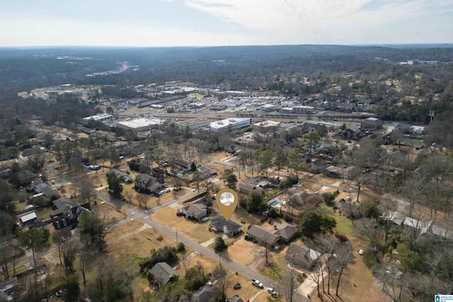 bird's eye view