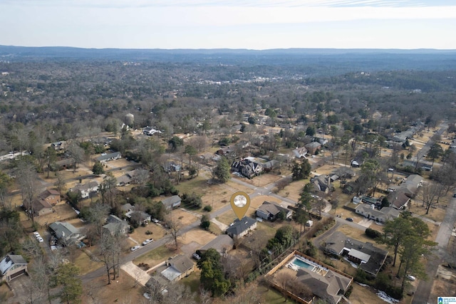 bird's eye view