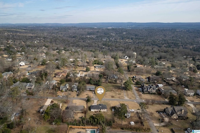 bird's eye view